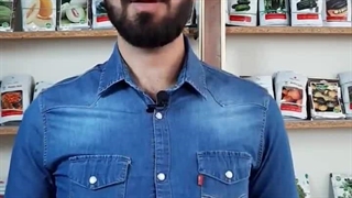 معرفی و درمان کنه تار عنکبوتی