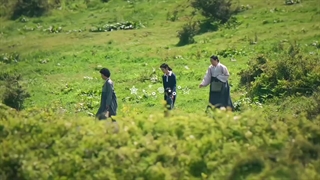 When Life Gives You Tangerines