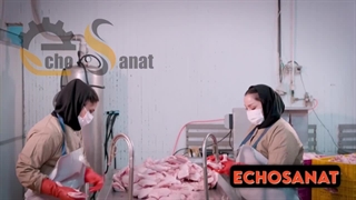 دستگاه شوشگیر اکوصنعت ( ساکشن ضایعات و رگه های خونی مرغ )