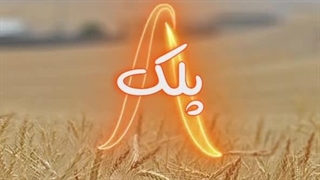 درمان افتادگی پلک با عمل بلفاروپلاستی طبیعی