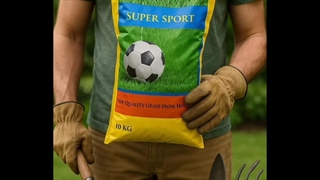 بذر چمن سوپراسپورت هلندی ، بذر چمن پارک 09199762163