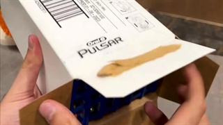 مسواک برقی اورال بی پولسار (باتری خور) | Oralb Pulsar Electric Toothbrush