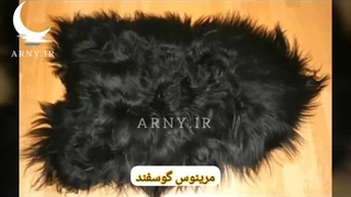 نمونه پوست های جذاب در دکوراسیون منزل