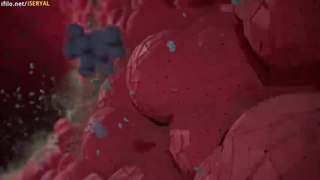 مستند نامحدود - روزه داری