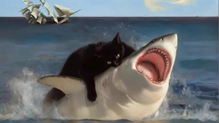 (آب بندی اراک) آببندی اراک