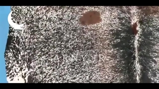 فرشپوست گاو خالدار تزئینی جذاب