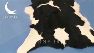 پوست گوساله سفید مشکی