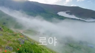 اهنگ  طبیعت    Ark Patrol به نام «Let Go#