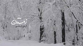 Arman Garshasbi - Zemestan I Lyrics Video ( آرمان گرشاسبی - زمستان )