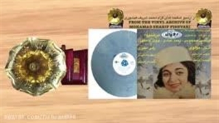 گل‌های رنگارنگ زیبا