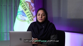 چرا نگین فید؟