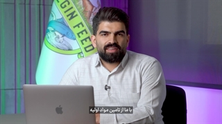 چرا نگین فید؟