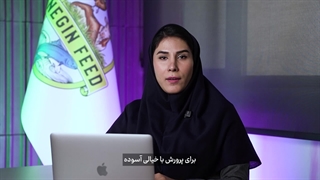 چرا نگین فید؟