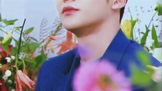 دوستای عزیز درخواستی از سه گروه SF9 و TXT و ENHYPEN قبول میکنم...کپشن