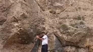 فیلم فالونک