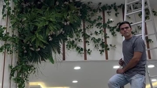 تبدیل کنج خالی خانه یا محل کار به فضای سبز با ریسه‌ها و بوته‌های مصنوعی