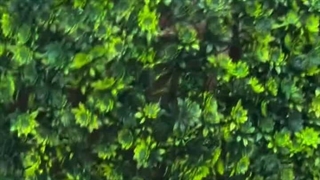 پنل نیلوفری ریزکار برای دکور دیوار سبز | نصب آسان با منگنه بادی