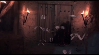 نماهنگ شاپرکا