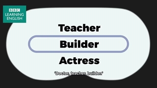 Best job in the world