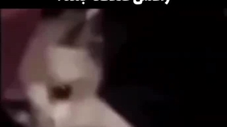 صاکنش وادقانه