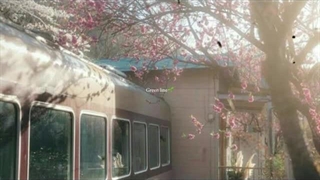 Zuhindra tra - Green line (mp4) #greenline #zuhindra #zuhindratra