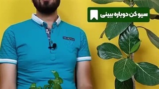 نکات نگهداری پتوس در آب