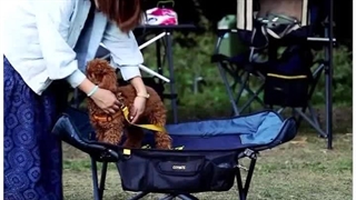 تخت تاشو کایوت مخصوص حیوانات