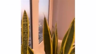 دکتر شراره دانش پور