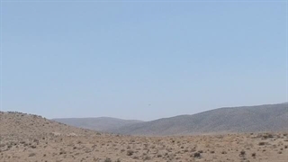 هوبره