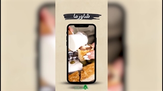 شاورماهایی که نمی‌تونی به یه دونه‌ش قانع شی!