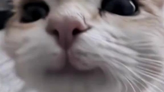 ⋆୨ৎHappy birthday to me୨ৎ⋆