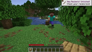 Minecraft لن شبکه