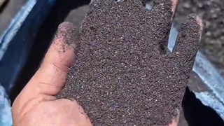 تولید زغال حبه ای  09125931997