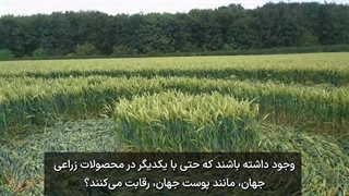 بیگانگان در میان ما پارت سوم: برنامه فضایی مخفی، روانشناسی بیگانه و سرنخ‌های حلقه‌های کشتزار