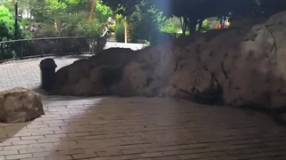 ویدیو پارک نماز شیراز 1404