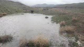 امرودکن