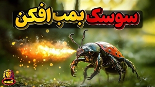 سوسک بمب افکن، مجهز به سلاح های شیمیایی و اسیدی