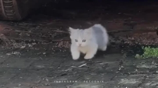 یکم کیوتی ببینید با شعورا ^^