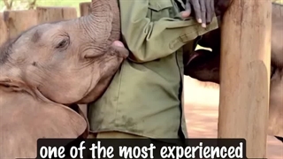 منو با خودت ببر !