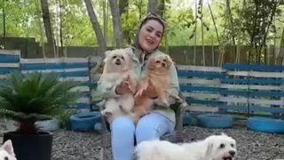 پانسیون خانگی پیکو در رشت