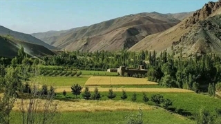 یه روز کاگری در کشاورزی  مزرعه خیار