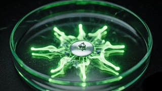 هوش مصنوعی/ واکنش‌های شیمیایی شگفت‌انگیز  به همراه صداهای رضایت‌بخش ASMR