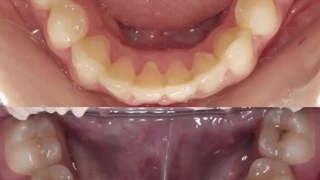 دکتر شاهین شادالویی متخصص درمان ناهنجاری های فکی و ارتودنسی