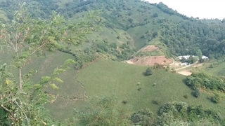 بام سبزلاهیجان