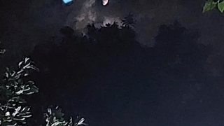 تو‌رو‌خدا کپشن رو نگاه کنید