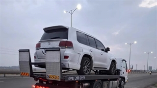 جرثقیل ساری