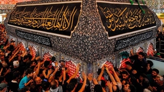 ویدیو/ حضور پرشور زائران اربعین در حرم امام علی(ع)