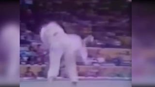 Top 10 Greatest Judokas Of The 20th Century