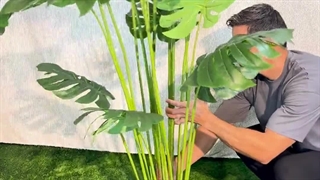 خرید درختچه مصنوعی برگ انجیری با ارتفاع ۱.۹ متر، جلوه‌ای طبیعی و تازه در دکوراسیون شما!