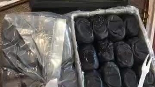 بسته بندی و پخش خرما و آجیل دکتر خرما در زنجان